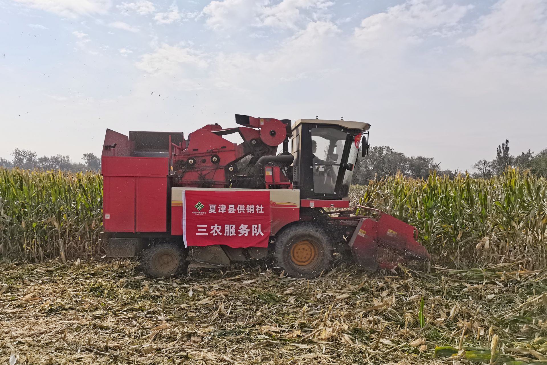 夏津县供销社开展土地托管服务，17个村集体经济累计增收173万元 —— 村民“坐”享农业生产服务与分红