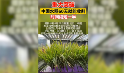 7.8万名&ldquo;小先生&rdquo;走进社区做大事!|共青团新闻联播