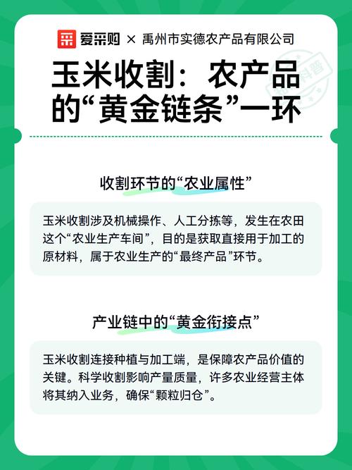 玉米收割 农产品“黄金链条”上的关键一环——与农作物收割服务的现代化进阶