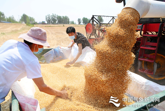 “三夏”开启 各地气象服务有序推进，护航农作物收割